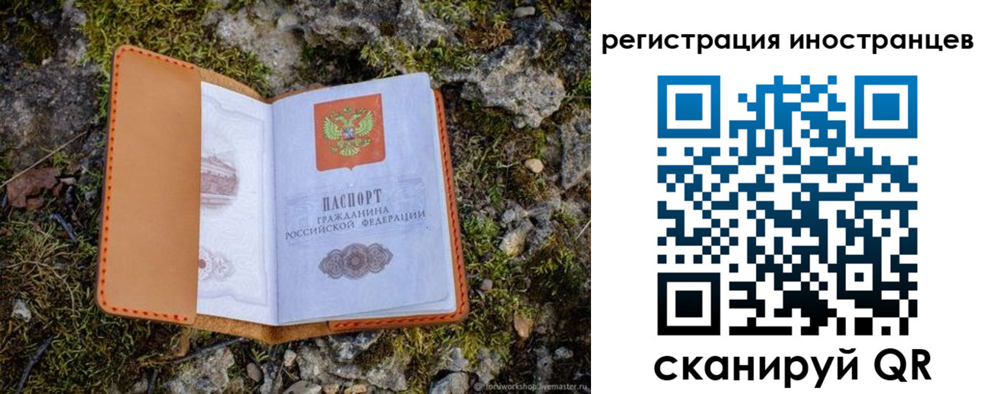 прописка паспорт в Химках