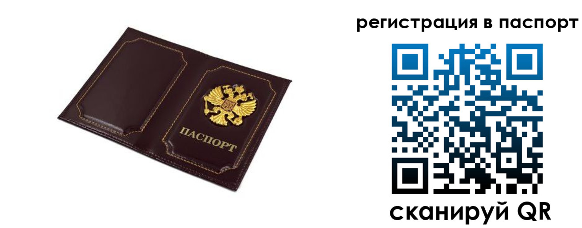 миграционный учет в Химках